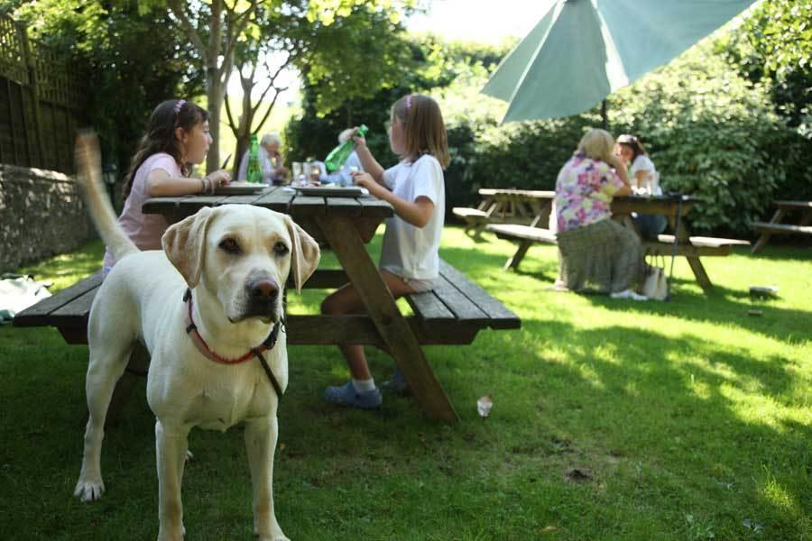 Bed and Breakfast The Star And Garter East Dean  Esterno foto